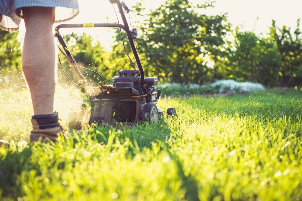 Lawn Mowing Melbourne